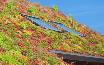 Stansfield living roof systems